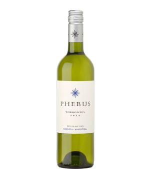 Phebus Torrontes